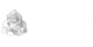 Meta trader adjusted